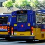 Two metro buses on the city street.